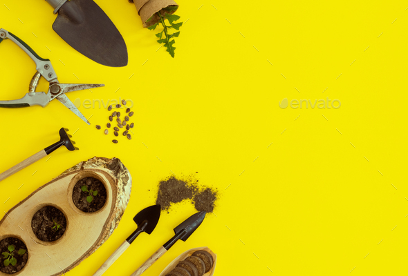 Cardboard glasses on a wooden saw cut, garden tools and seeds on yellow.