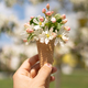 Ice cream cone filled with spring flowers - PhotoDune Item for Sale
