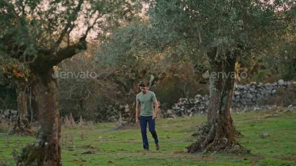 Serious farmer walking olive plantation. Calm man checking basket after harvest - Stock Photo - Images