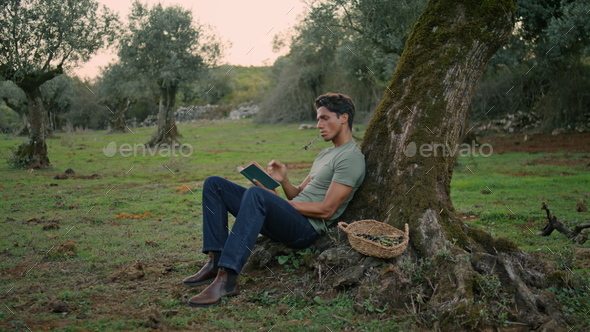 Relaxed man flipping pages at olive tree evening place. Calm worker reading book - Stock Photo - Images
