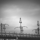 Budapest black and white view - Margaret bridge - PhotoDune Item for Sale