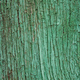 Tree bark trunk in green tone. Aged natural background - PhotoDune Item for Sale