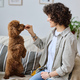 Woman training her little dog - PhotoDune Item for Sale