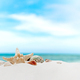 Vacation, beach or travel concept. Composition of different shells on the sand - PhotoDune Item for Sale