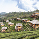 Scenic and serene green tea gardens at the hills of Ban Rak Thai village, located in Mae Hong Son - PhotoDune Item for Sale