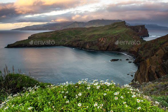 Ponta de Sao Lourenco, Madeira , Portugal. Sunrise over green cliffs and spring flowers  - Stock Photo - Images