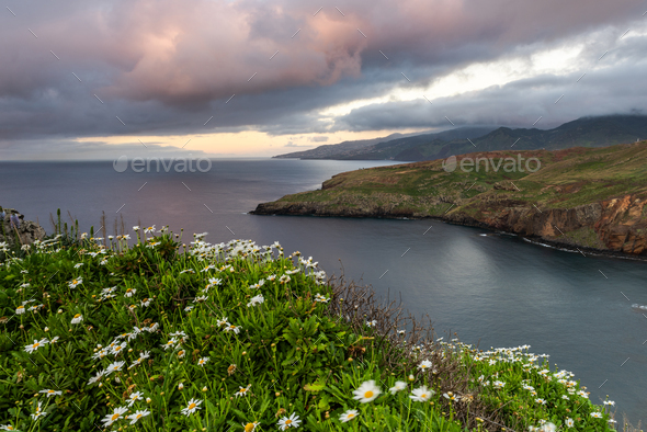 Ponta de Sao Lourenco, Madeira peninsula at sunrise. Green cliffs, Atlantic Ocean at spring.  - Stock Photo - Images