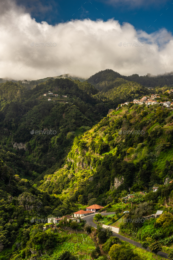 Madeira landscape with green hills and mountainso. Wild nature in Madeira, Portugal - Stock Photo - Images
