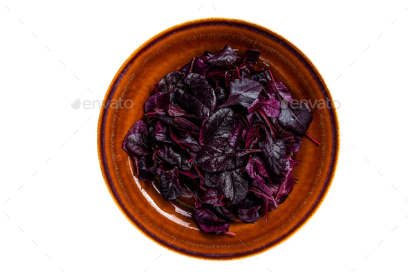Raw Ruby or red chard salad Leafs on a rustic plate. Isolated on white background.