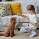 Little girl training her pet at home - PhotoDune Item for Sale