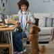 Woman playing with her dog during remote work - PhotoDune Item for Sale