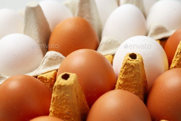 Main ingredient for cooking different dishes- eggs Stock Photo by