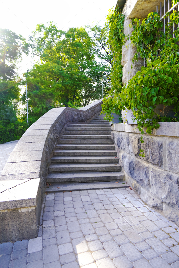 Beautiful summer sunny day with bright green trees, wild grape, stone stairs.  Mental health. - Stock Photo - Images