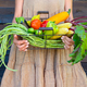 Eco-friendly concept with organic farm vegetables in the hands of a girl in a linen dress of natural - PhotoDune Item for Sale