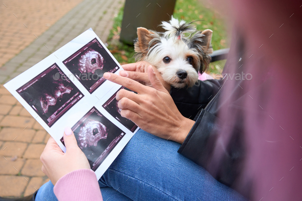 Lady demonstrating fetus on sonogram to her female companion outdoors