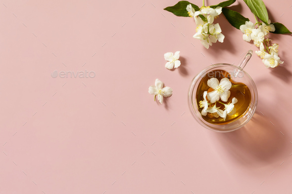 Cup of jasmine tea with jasmine flowers on a pink pastel background.   - Stock Photo - Images