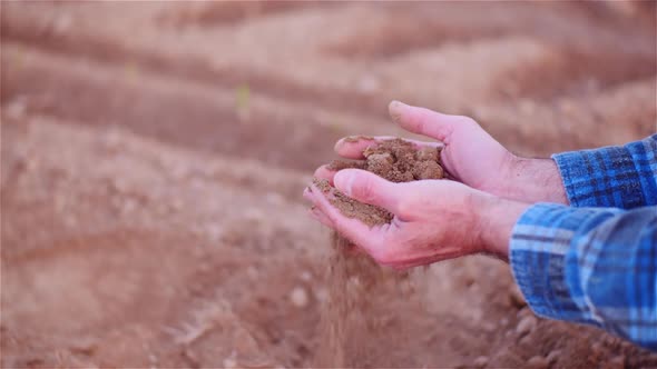 Farmer Examining Organic Soil in Hands, Farmer Touching Dirt in Agriculture Field alt