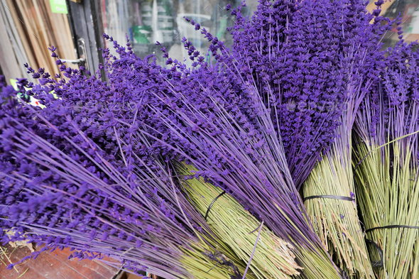 Dry Lavender Bunches Close up , - Stock Photo - Images