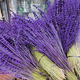 Dry Lavender Bunches Close up , - PhotoDune Item for Sale