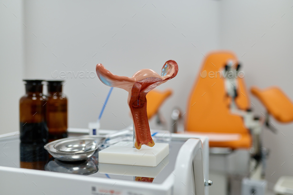 Gynecological examination kit and anatomical uterus model on table