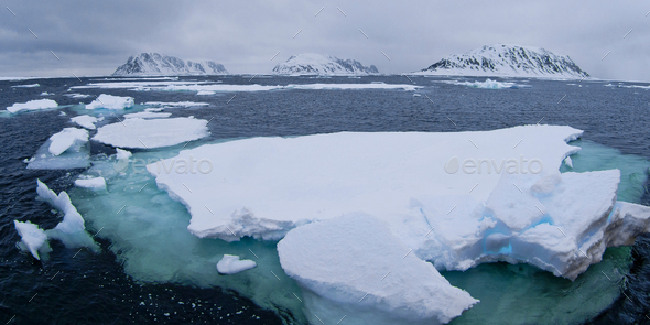 Drift floating Ice, Albert I Land, Arctic - Stock Photo - Images