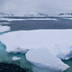 Drift floating Ice, Albert I Land, Arctic - PhotoDune Item for Sale