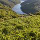 Ribeira sacra terrace vineyards and sil river in Galicia, Spain - PhotoDune Item for Sale