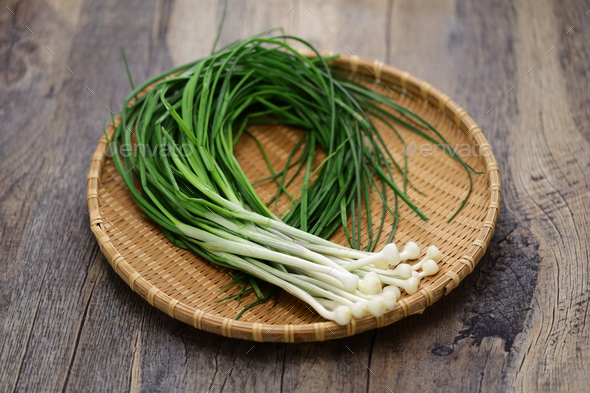 Wild Rocambole, Edible Wild Plants Stock Photo By Motghnit 