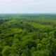 Aerial Forest - VideoHive Item for Sale