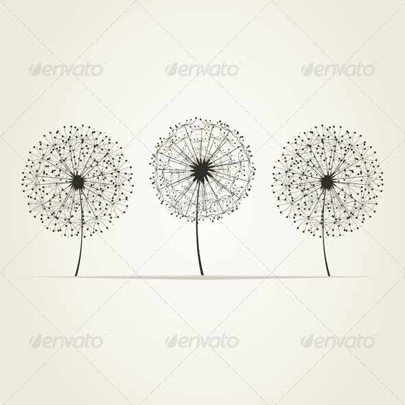 Three Dandelions - Flowers & Plants Nature