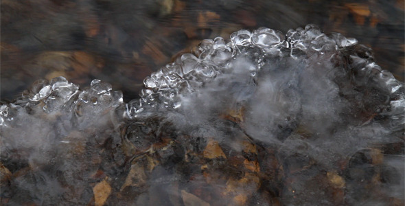 Ice Crust On Water