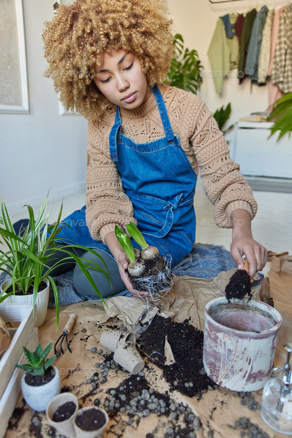 Indoor shot of serious curly haired woman takes care of houseplant holds bulb plant with roots
