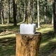 A close up of a square block of salt on a tree stump in the woods  - PhotoDune Item for Sale