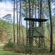A wooden observation or hunting tower in the forest  - PhotoDune Item for Sale