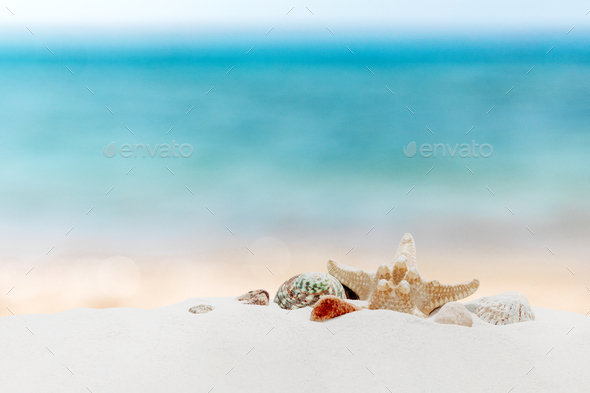 Vacation, beach or travel concept. Composition of different shells on the sand - Stock Photo - Images