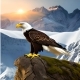 Eagle Eagle