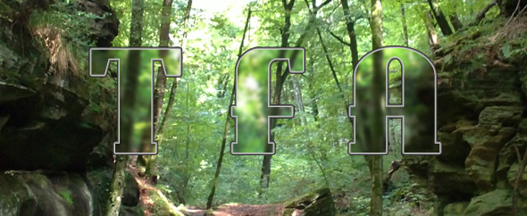 Audiojungle%20header%201%20brightness13