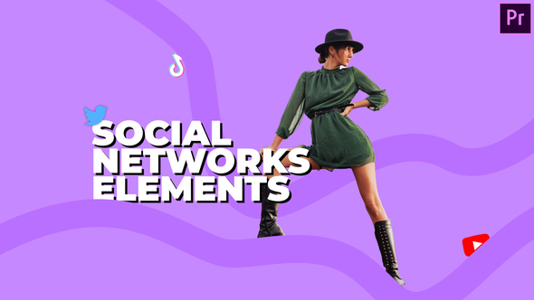 Social Networks Elements