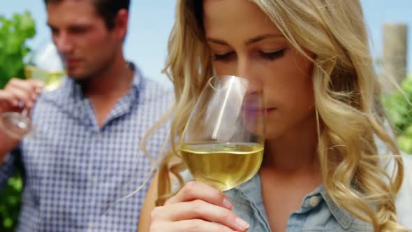 Couple drinking wine in vineyard alt
