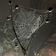 Itsy bitsy spider web - PhotoDune Item for Sale