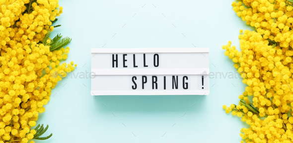 HELLO SPRING written in a light box and Mimosa flowers border on a blue background. Spring concept.