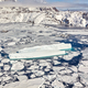 Icebergs among ice field - PhotoDune Item for Sale