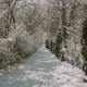 Winter wonderland in a rural village - PhotoDune Item for Sale