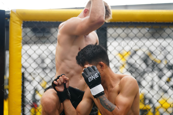 Mixed Martial Art, Jumping elbow kick into the opponent\'s face If it hits the full face