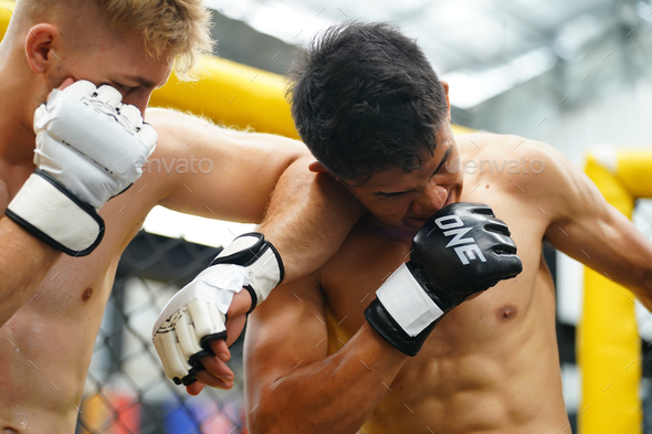 Mixed Martial Art, A powerful elbow that hits the opponent\'s face or head.