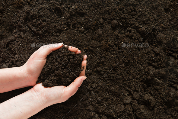 Symbol earth day. Handful of earth in hand. Farmer hands soil ground earth dirt garden soil farm