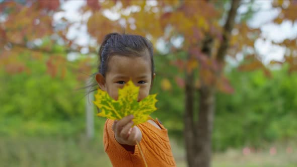 Young girl in Fall spinning with leaves in hands