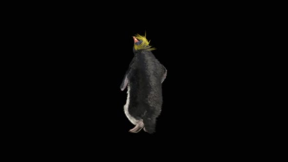 Penguin Dancing HD alt