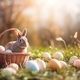 Easter bunny and Easter eggs on green grass field - PhotoDune Item for Sale