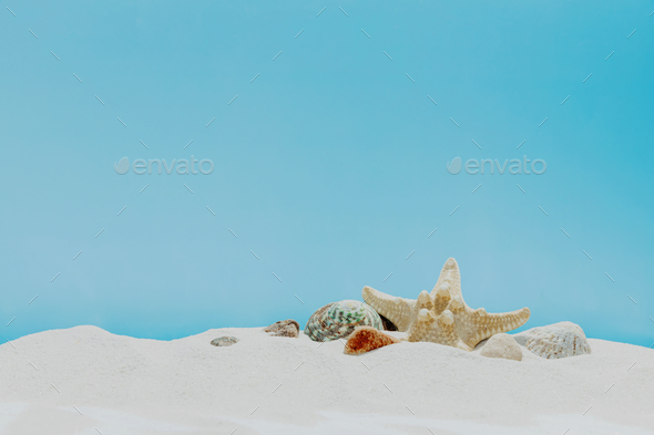 Vacation, beach or travel concept. Composition of different shells on the sand - Stock Photo - Images